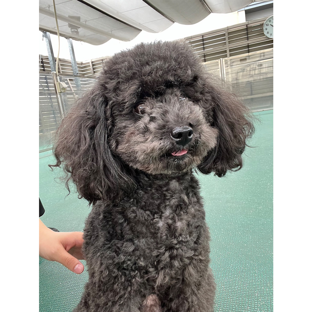 生徒が撮影した写真を送ってくれました！②
